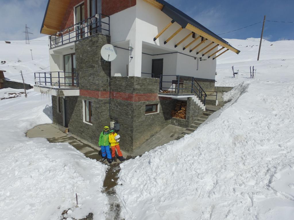 Mountain Cricket Chalets And Apartments Gudauri Kültér fotó